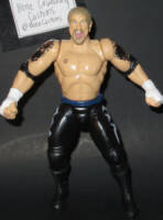 Diamond Dallas Page (Wrestling) Custom Action Figure