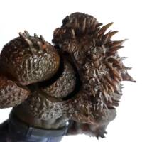 Devil Hulk (Marvel Legends) Custom Action Figure