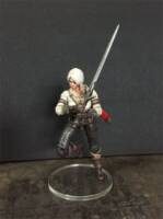 Ciri (Witcher) Custom Action Figure [Completed Figure]