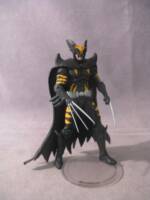 Dark Claw (Amalgam) Custom Action Figure