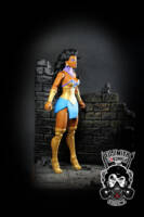 Nubia (Wonder Woman) (DC Multiverse) Custom Action Figure