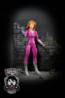 Plastique (DC Universe) Custom Action Figure