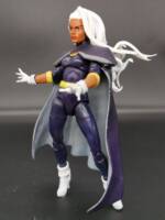 Storm (X-Men Evolution) (Marvel Legends) Custom Action Figure