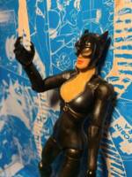 catwoman (Marvel Legends) Custom Action Figure
