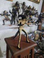 Predalien HOT TOYS  Wannabe (Predator) Custom Action Figure