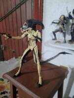 Predalien HOT TOYS  Wannabe (Predator) Custom Action Figure