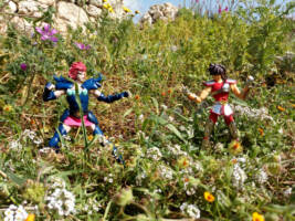 Jao Lynx v2 (Saint Seiya) Custom Action Figure