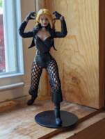 Black Canary (DC Universe) Custom Action Figure