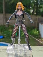 Black Canary (DC Universe) Custom Action Figure