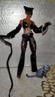 Catwoman (Patience Phillips) (Marvel Legends) Custom Action Figure
