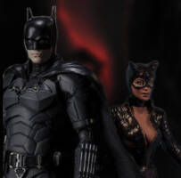 Catwoman (The Batman) Custom Action Figure