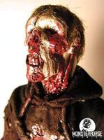 Randy the Zombie (Zombies) Custom Action Figure
