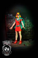 Batgirl (Golden Age) (DC Universe) Custom Action Figure