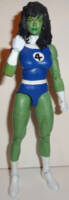 She Hulk (Fantastic 4) (Marvel Legends) Custom Action Figure