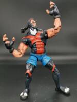 Thunderbird (Exiles) (Marvel Legends) Custom Action Figure
