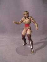 Injustice Wonder Woman (DC Infinite Heroes) Custom Action Figure