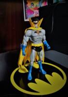 Robin Earth 2 (DC Universe) Custom Action Figure