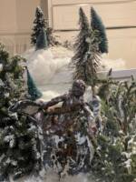 snowboarding wookie (Star Wars) Custom Action Figure