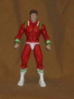 Beast Boy (Heroes of Lallor) (DC Multiverse) Custom Action Figure