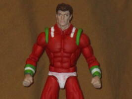 Beast Boy (Heroes of Lallor) (DC Multiverse) Custom Action Figure
