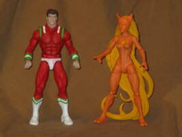 Beast Boy (Heroes of Lallor) (DC Multiverse) Custom Action Figure