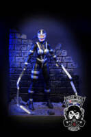 Lashina (DC Universe) Custom Action Figure