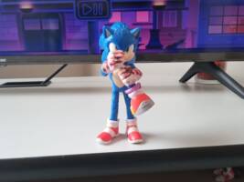 Sonic the hunger (Sonic) Custom Action Figure