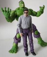 Bruce Banner (Hulk - Movie) Custom Action Figure