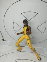 Vixen (DCEU) (DC Multiverse) Custom Action Figure