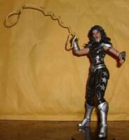 Donna Troy (DC Multiverse) Custom Action Figure
