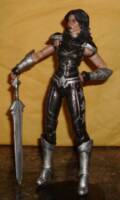 Donna Troy (DC Multiverse) Custom Action Figure