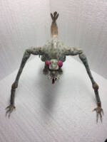 Cloverfield (1-18-08 / Cloverfield) Custom Action Figure