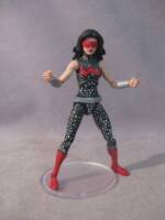 Wonder Girl (Amalgam) Custom Action Figure