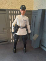 Colonel Wullf Yularen (Star Wars) Custom Action Figure