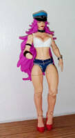 Poison street Fighter (Street Fighter) Custom Action Figure