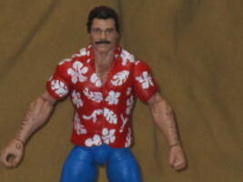 Magnum PI (WWE) Custom Action Figure