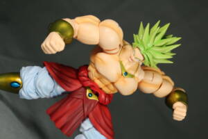 Broly (DBZ) (Dragonball Z) Custom Action Figure