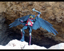 Raptor, Dark Hawkman (DC Universe) Custom Action Figure