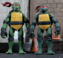 Shinobi TMNT (Teenage Mutant Ninja Turtles) Custom Action Figure