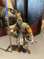 Jedi Master Zao (Star Wars) Custom Action Figure