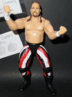 Terry Funk (Wrestling) Custom Action Figure
