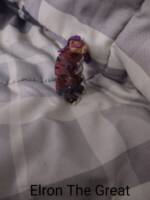 Mega Bebop (Teenage Mutant Ninja Turtles) Custom Miniature / Figurine