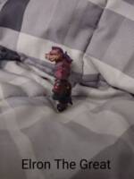 Mega Bebop (Teenage Mutant Ninja Turtles) Custom Miniature / Figurine