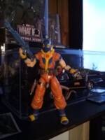Gokupool or Wilson Kakarot or Saiyan Wade (Dragonball Z) Custom Action Figure