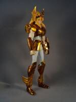 CYGNUS HYOGA Final Bronze Armor Power of Gold (Saint Seiya) Custom Action Figure
