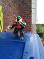 Raphael (Teenage Mutant Ninja Turtles) Custom Action Figure