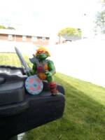 The Eternia Turtle He-Ralph (Teenage Mutant Ninja Turtles) Custom Action Figure