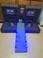 Custom AEW Stage/Diorama Playset (Wrestling) Custom Diorama / Playset