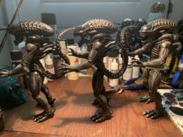 Alien Warriors (Hive Update) (Aliens) Custom Action Figure