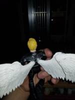 Angel (Xmen movie version) (X-Men - Movies) Custom Action Figure